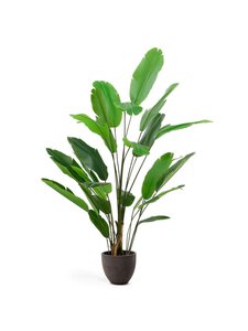 Kave Home - Banana-tekokasvi K 210 cm - GREEN | Stockmann