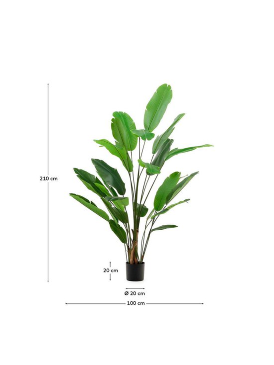 Kave Home - Banana-tekokasvi K 210 cm - GREEN | Stockmann - photo 5
