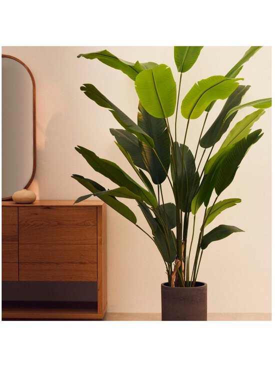 Kave Home - Banana-tekokasvi K 210 cm - GREEN | Stockmann - photo 2