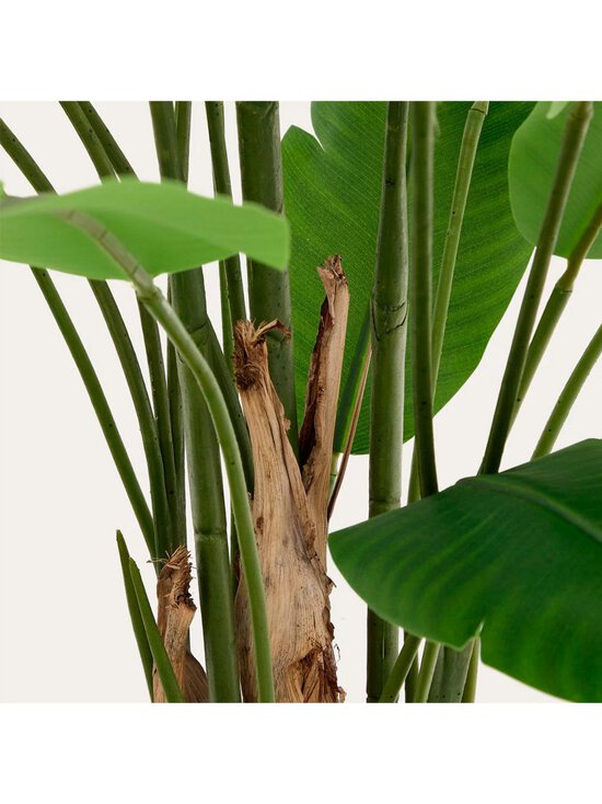 Kave Home - Banana-tekokasvi K 210 cm - GREEN | Stockmann - photo 4