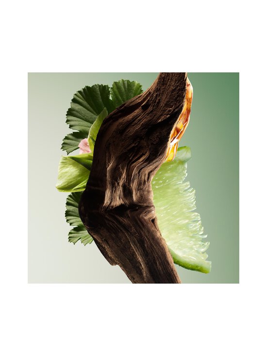 Prada - Paradigme Eau de Parfum -tuoksu, 30 ml - NOCOL | Stockmann - photo 3