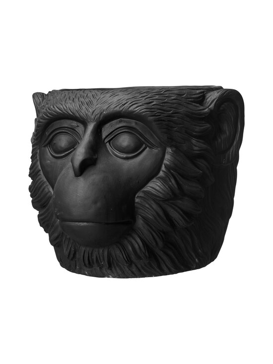 Monkey -ruukku