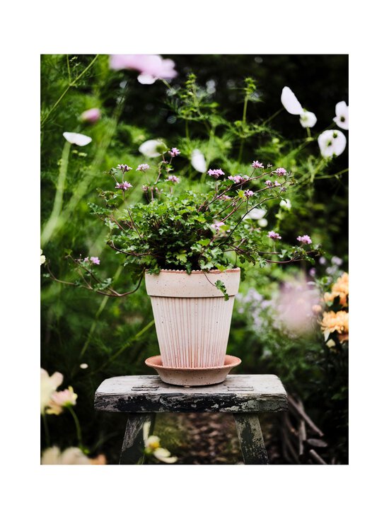 Bergs Potter - Simona-ruukku Ø 18 cm - ROSA - photo 4 Bergs Potter - Simona-ruukku Ø 18 cm - ROSA | Stockmann - photo 4