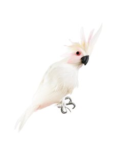 Shishi - Parrot-koriste 24 cm - WHITE Shishi - Parrot-koriste 24 cm - WHITE | Stockmann