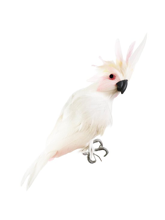 Shishi - Parrot-koriste 24 cm - WHITE - photo 1 Shishi - Parrot-koriste 24 cm - WHITE | Stockmann - photo 1