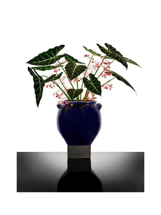 Serax - Rosamar 08 -ruukku - 601 BLUE | Stockmann - photo 6
