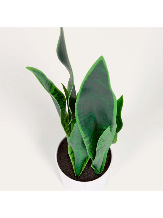 Kave Home - Sansevieria-tekokasvi - VALKOINEN - photo 2 Kave Home - Sansevieria-tekokasvi - VALKOINEN | Stockmann - photo 2
