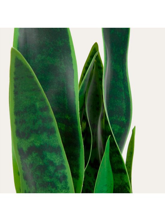 Kave Home - Sansevieria-tekokasvi - VALKOINEN - photo 3 Kave Home - Sansevieria-tekokasvi - VALKOINEN | Stockmann - photo 3