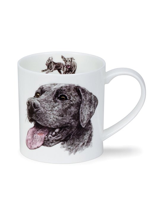 Orkney H Longmuir Dog Coll Labrador -muki 0,35 l