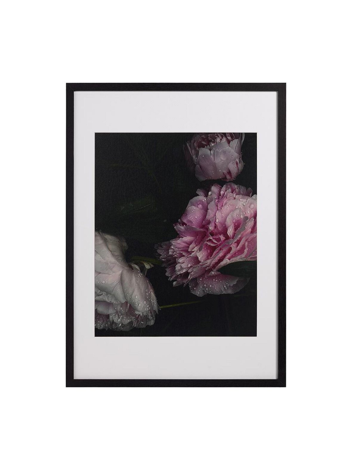 Flora 1 -taulu blossom 73 x 53 cm