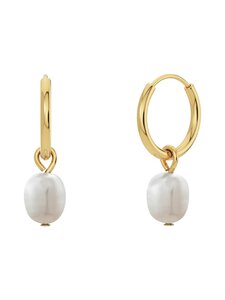 Edblad - Perla Hoops Gold -korvakorut - GOLD | Stockmann