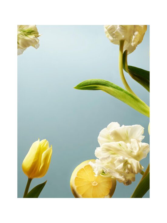 Rituals - Amsterdam Collection Body Cream -vartalovoide - NOCOL | Stockmann - photo 5