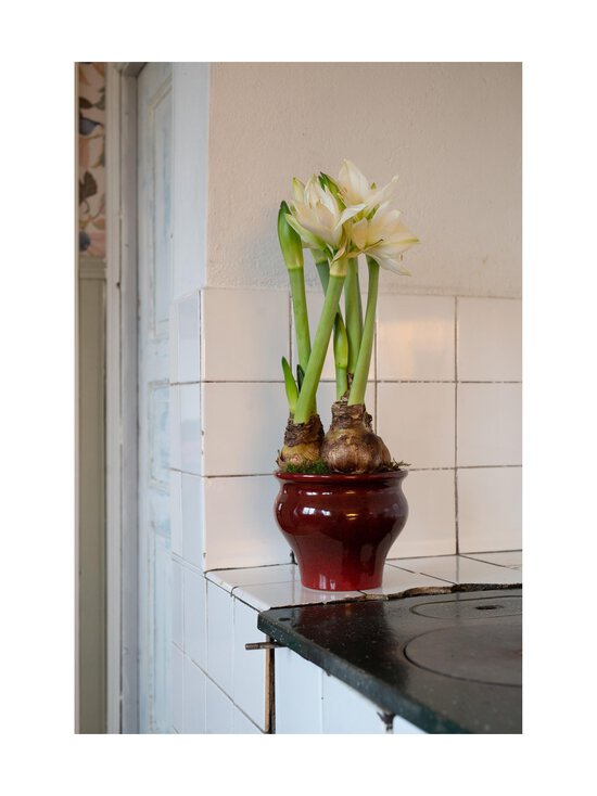 Wikholm Form - Kay-ruukku 15 x 13 cm - RED - photo 3 Wikholm Form - Kay-ruukku 15 x 13 cm - RED | Stockmann - photo 3