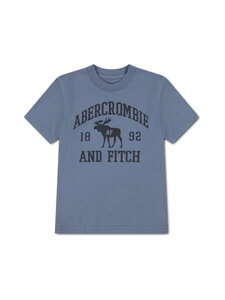 Abercrombie & Fitch - Moose Lockup T-krekls - UNT-FLINT STONE | Stockmann