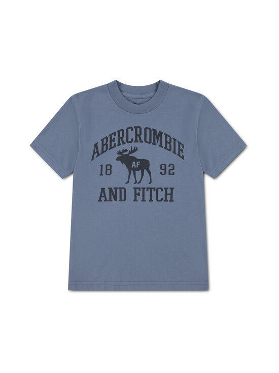 Abercrombie & Fitch - Moose Lockup T-krekls - UNT-FLINT STONE | Stockmann - photo 1