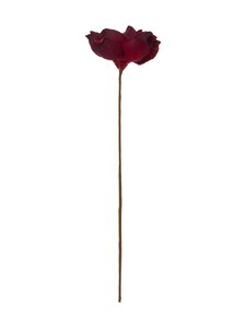 Villa Stockmann - Flower Stem -joulukoriste - WINE | Stockmann