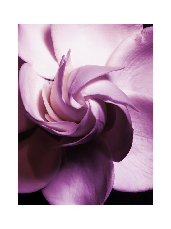 Maison Crivelli - Patchouli Magnetik Extrait de Parfum -tuoksu - NOCOL | Stockmann - photo 8