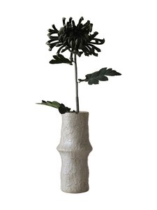 Botané - Chrysanthemum-tekokukka - DARK GREEN | Stockmann