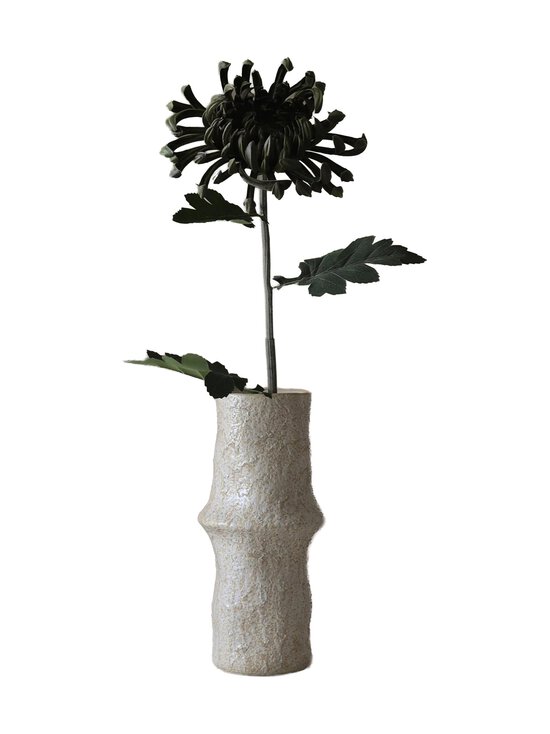 Botané - Chrysanthemum-tekokukka - DARK GREEN | Stockmann - photo 1