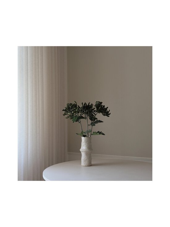 Botané - Chrysanthemum-tekokukka - DARK GREEN | Stockmann - photo 3