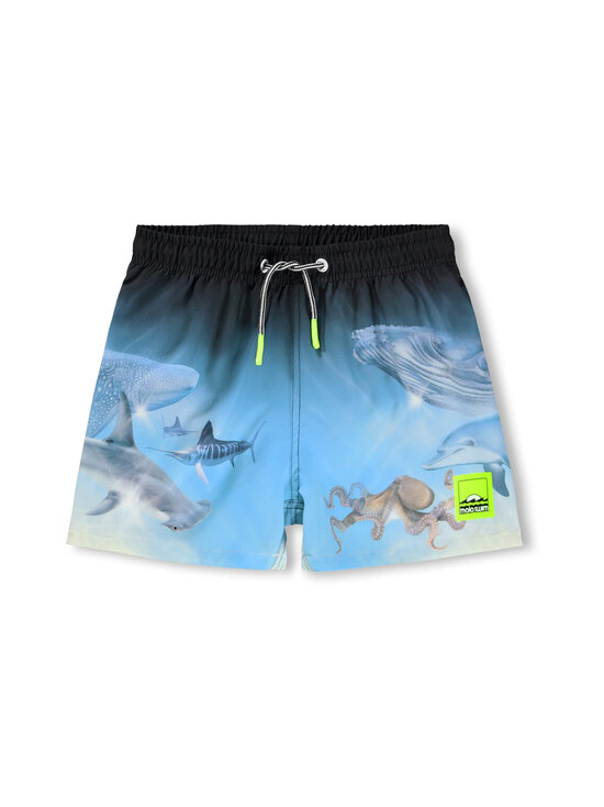 Molo - Ujumisšortsid Niko - 5213 AIR BRUSH DEEP | Stockmann - photo 1