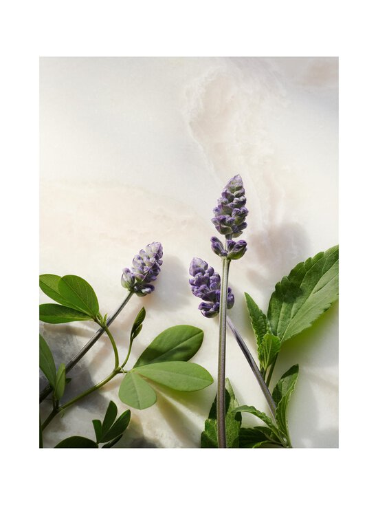 Rituals - The Ritual of Namaste Glow Anti-Ageing Serum -kasvoseerumi 30 ml - WHITE - photo 4 Rituals - The Ritual of Namaste Glow Anti-Ageing Serum -kasvoseerumi 30 ml - WHITE | Stockmann - photo 4