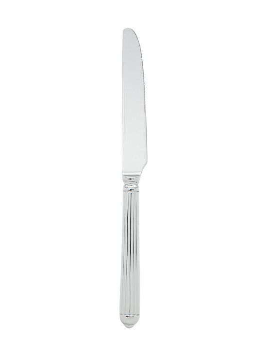 Pintiinox - Ellade-jälkiruokaveitsi - 07900006 STEEL | Stockmann - photo 1