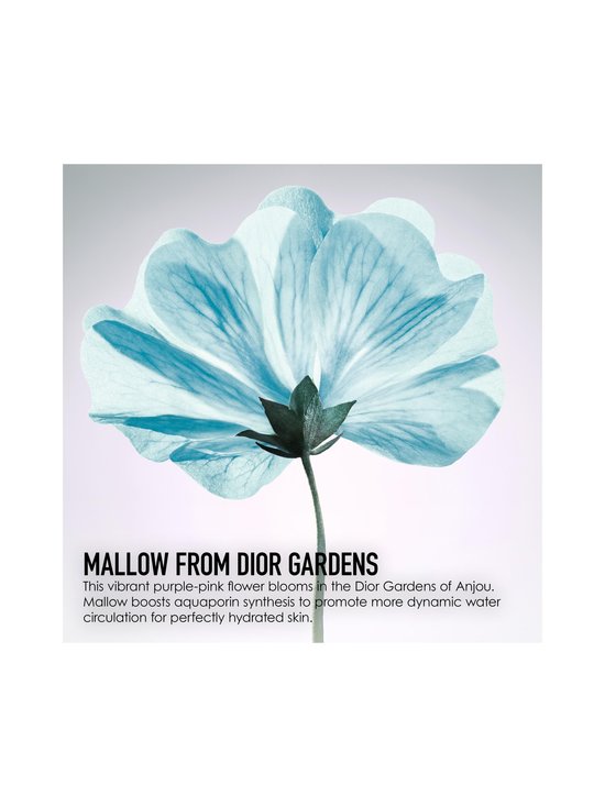 DIOR - Hydra Life Sorbet Creme -kosteusvoide 50 ml - NOCOL | Stockmann - photo 4