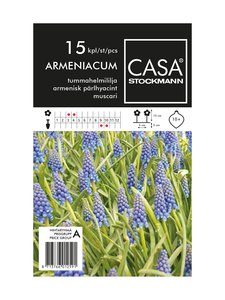 Casa Stockmann - Tummahelmililja-kukkasipulit - SININEN Casa Stockmann - Tummahelmililja-kukkasipulit - SININEN | Stockmann