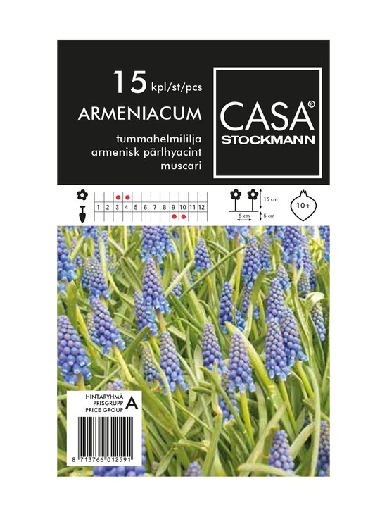 Tummahelmililja-kukkasipulit