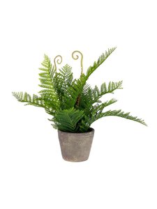 Kave Home - Filicopsida-tekokasvi - VIHREÄ | Stockmann