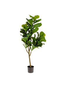 Kave Home - Ficus-tekokasvi - VIHREÄ | Stockmann
