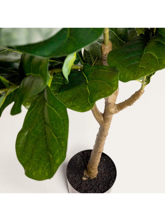 Kave Home - Ficus-tekokasvi - VIHREÄ - photo 3 Kave Home - Ficus-tekokasvi - VIHREÄ | Stockmann - photo 3