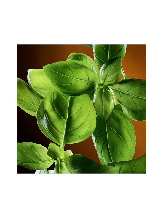 Dolce & Gabbana - The One For Men EdT 50 ml | Stockmann - photo 5