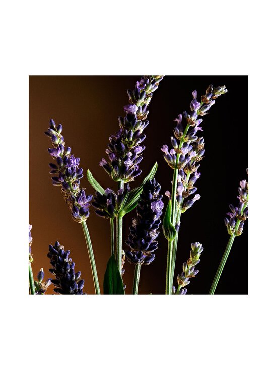 Dolce & Gabbana - The One For Men EdT 50 ml | Stockmann - photo 6