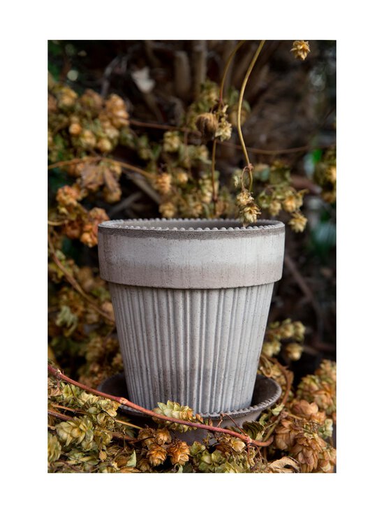 Bergs Potter - Simona puķu pods Ø 16 cm - GREY - photo 5 Bergs Potter - Simona puķu pods Ø 16 cm - GREY | Stockmann - photo 5