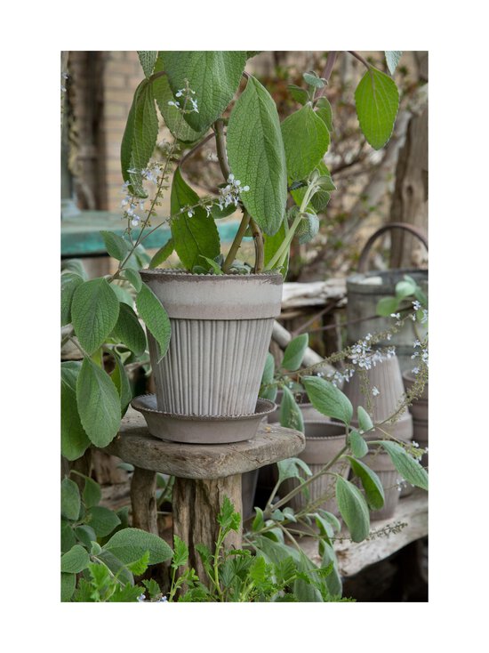 Bergs Potter - Simona puķu pods Ø 16 cm - GREY - photo 6 Bergs Potter - Simona puķu pods Ø 16 cm - GREY | Stockmann - photo 6