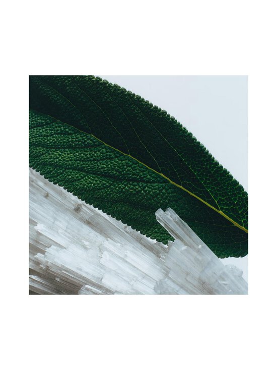 Jo Malone London - Wood Sage & Sea Salt Cologne -tuoksu, 10 ml - NOCOL - photo 4 Jo Malone London - Wood Sage & Sea Salt Cologne -tuoksu, 10 ml - NOCOL | Stockmann - photo 4