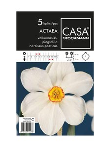 Casa Stockmann - Valkonarsissi-kukkasipulit - VALKOINEN Casa Stockmann - Valkonarsissi-kukkasipulit - VALKOINEN | Stockmann
