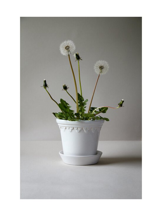 Bergs Potter - Københavner puķupods Ø 12 cm - MINERAL WHITE - photo 6 Bergs Potter - Københavner puķupods Ø 12 cm - MINERAL WHITE | Stockmann - photo 6
