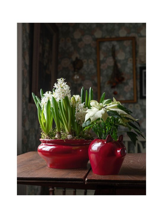 Wikholm Form - Kay-ruukku 26 x 12 cm - RED - photo 3 Wikholm Form - Kay-ruukku 26 x 12 cm - RED | Stockmann - photo 3