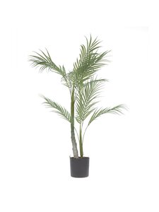 Kave Home - Palmera-tekokasvi - MUSTA | Stockmann