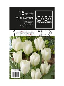 Casa Stockmann - Tulitulppaani-kukkasipulit - VALKOINEN | Stockmann
