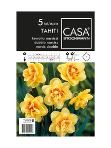 Casa Stockmann - Kerrottu narsissi -kukkasipulit - KELTAINEN/ORANSSI Casa Stockmann - Kerrottu narsissi -kukkasipulit - KELTAINEN/ORANSSI | Stockmann