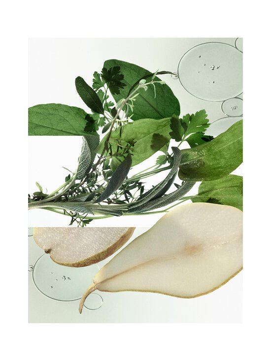 HERMÈS - H24 Herbes Vives EdP Refill -tuoksu - NOCOL - photo 6 HERMÈS - H24 Herbes Vives EdP Refill -tuoksu - NOCOL | Stockmann - photo 6