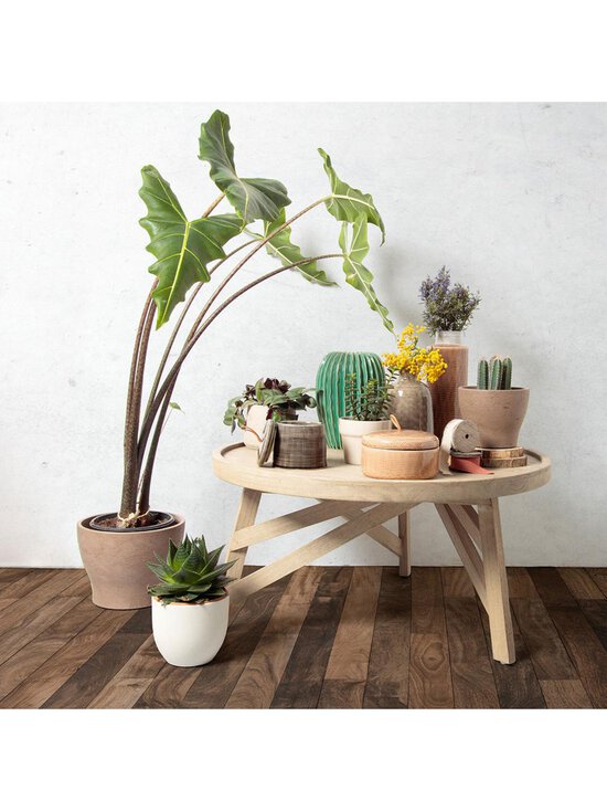 Kave Home - Tenda-sohvapöytä - RUSKEA | Stockmann - photo 6