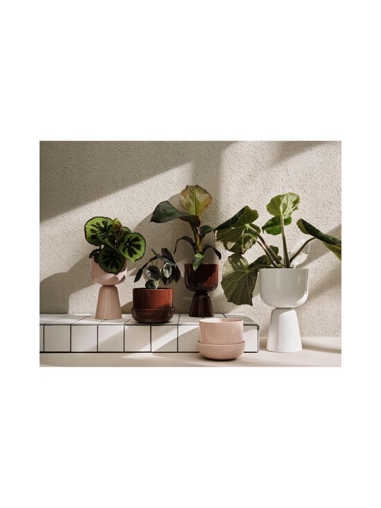 Iittala - Nappula-kasviruukku - WHITE - photo 5 Iittala - Nappula-kasviruukku - WHITE | Stockmann - photo 5
