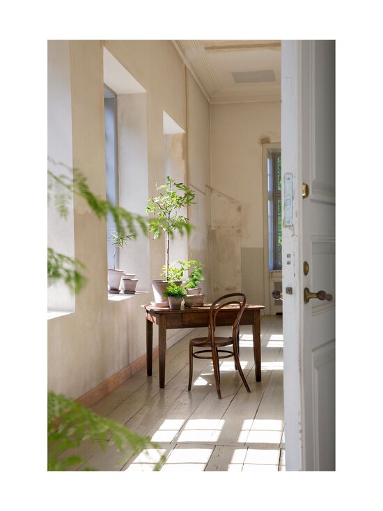 Bergs Potter - Planet Raw Grey -ruukku- ja aluslautanen 30 cm - GREY GREY | Stockmann - photo 2