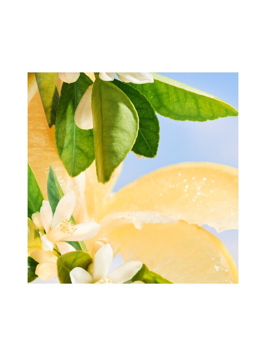 Bvlgari - Riva Solare EdP - NOCOL | Stockmann - photo 6