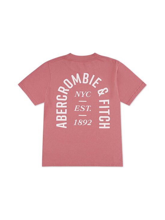 Abercrombie & Fitch - Nyc Logo t-paita - ALD-DUSTY ROSE | Stockmann - photo 2
